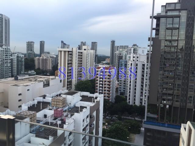 Prestige Heights (D12), Apartment #133833652